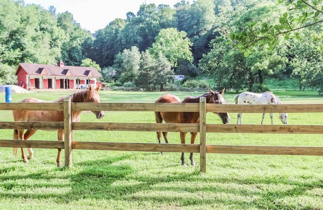 Spacious 2BR Condo Walk to Downtown Helen