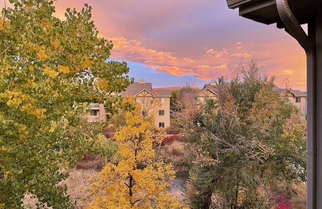 Spacious 3 bedroom condo plus garage minutes from mountains close to parks