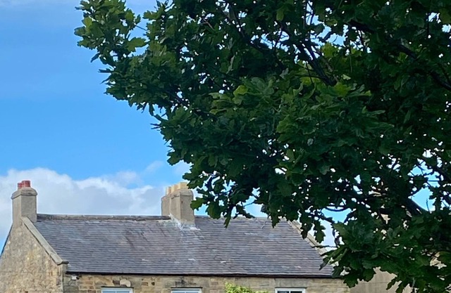 Spacious 3 Bedroom House