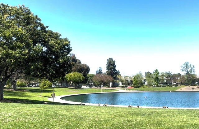 Spacious 3 BR 2B House Sunnyvale Park