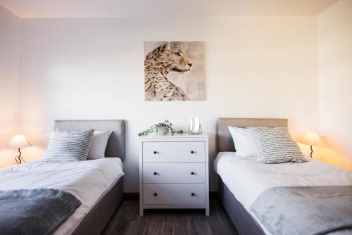 Spacious 4 Bed with Free Parking