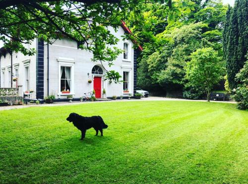 Spacious 6 Bedroom Victorian Period Villa