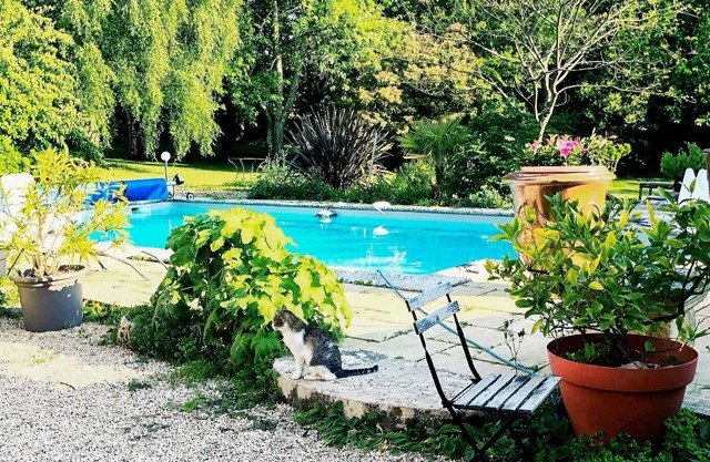 Spacious and authentic stone house with pool and whirlpool in a quiet location.