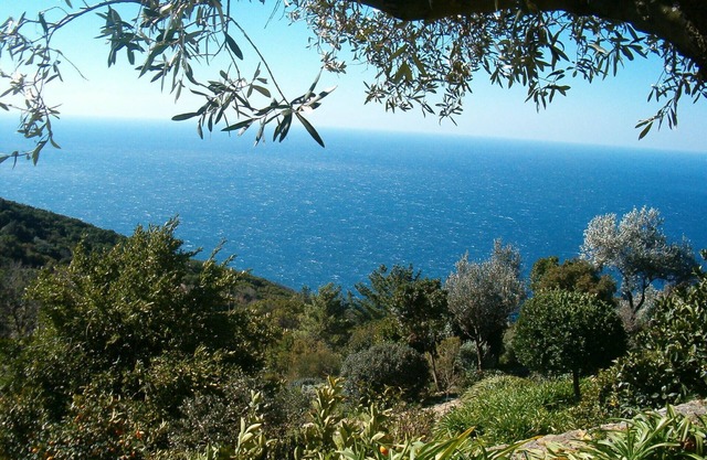 Spacious and light-filled room with independent access