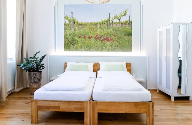 Spacious apartment right on the Jakobsweg, near the city center
