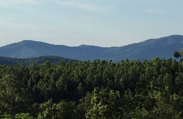 Spacious apt: hot tub, mountain views, stream & pond on peaceful 25 acre estate