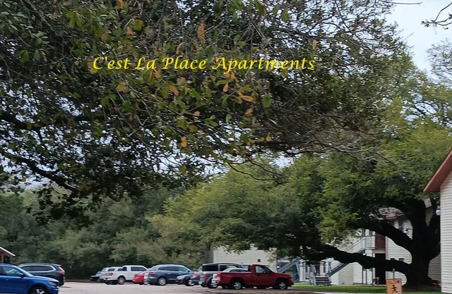 Spacious Furnished 2 Bedrooms, 1 Bathroom Apartment! nYour Home Away from Home