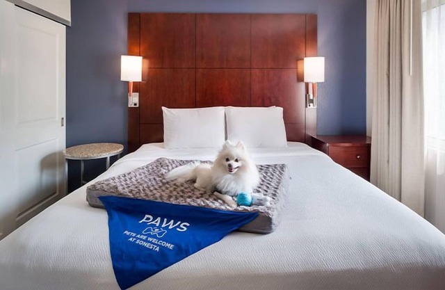 Spacious Good-Value Accommodation w/ Full Kitchen! Outdoor Pool & Pets Allowed!