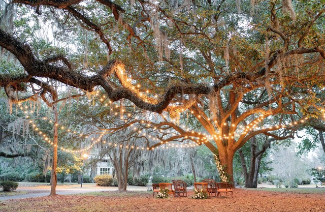 Spacious home 15 mins from Downtown Charleston