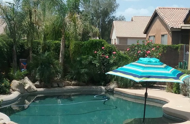 Spacious Home With Private Pool Close To Sports And Shopping Activities