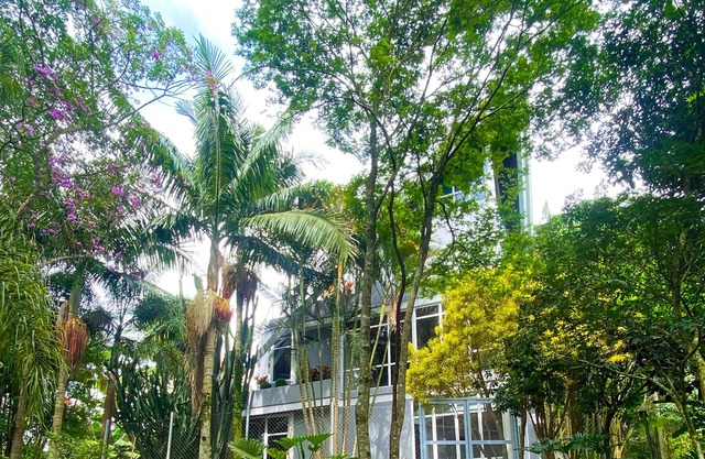 Spacious house in the middle of nature