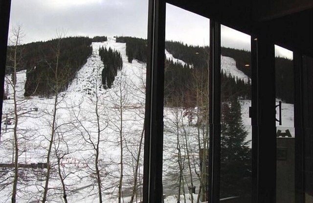Spacious, Luxury, Ski-in/Ski-out Condo. Adjacent to the SuperBee Express lift.