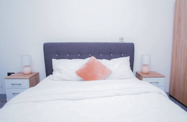 Spacious Urban City Apartment