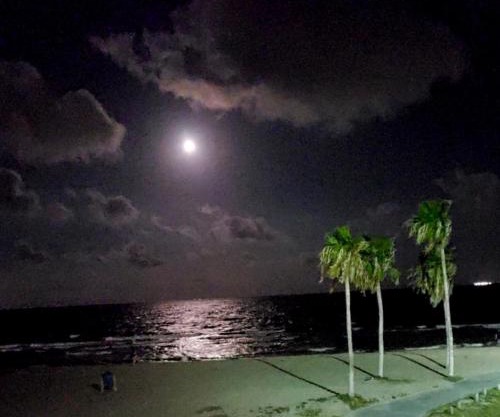 Spectacular Beach View!