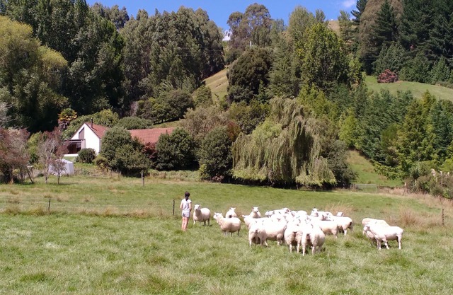 Spectacular Hope Farm Stay