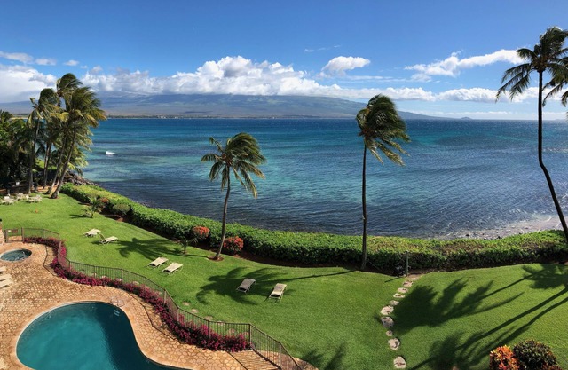 Spectacular Treetop Oceanfront View - Central A/C - Sleeps 6 - Turtles & Whales