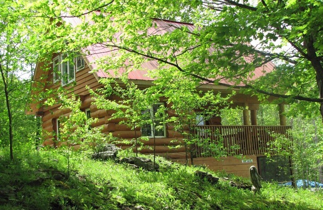 Springwood Cottages Resort - New Log Cabin - Arden, ON