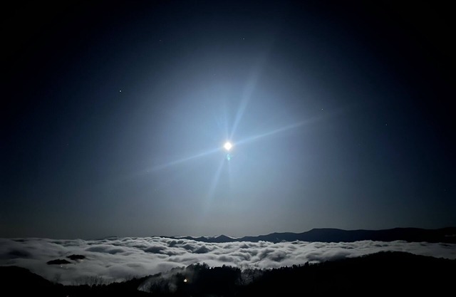 Spruce Bungalow | Deluxe Mountain View