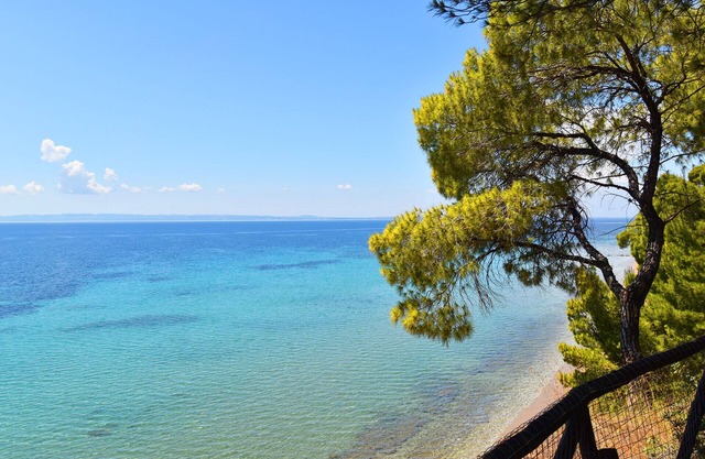 Squirrel Beach Front Villa, Metamorfosi