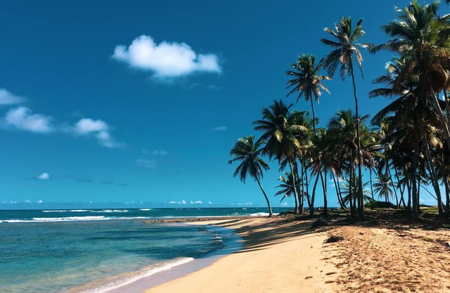 Srvittinivillas Lc16 -Pretty Jungle Villa- Perfect Location Casa de Campo Resort