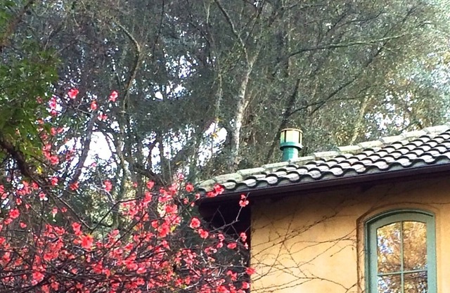 ST. HELENA ROMANTIC TUSCAN VILLA