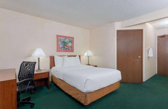 Standard 1 King Bed Non-Smoking