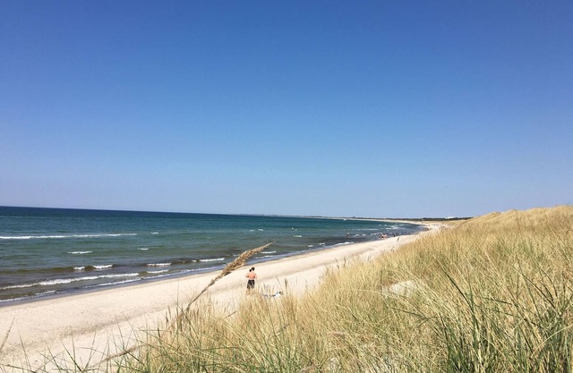 Standardzimmer - Hotel - Susewind