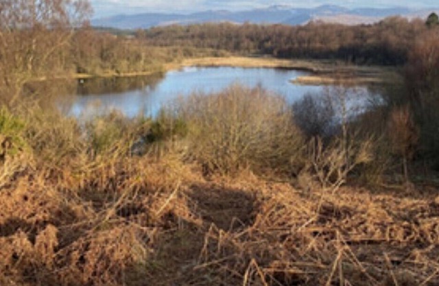 Stay at Muir Estate