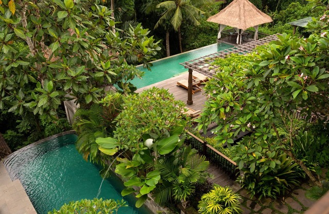 Stay at Wellness Retreat Resort @Ubud
