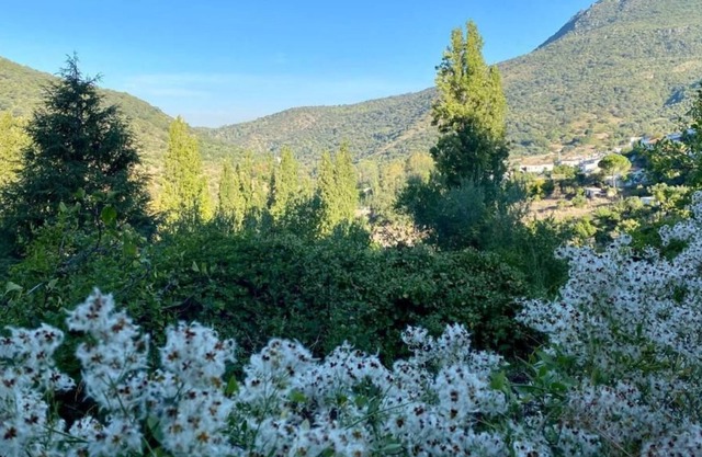 Stay Wild en Las Casitas de Huerta Arriba