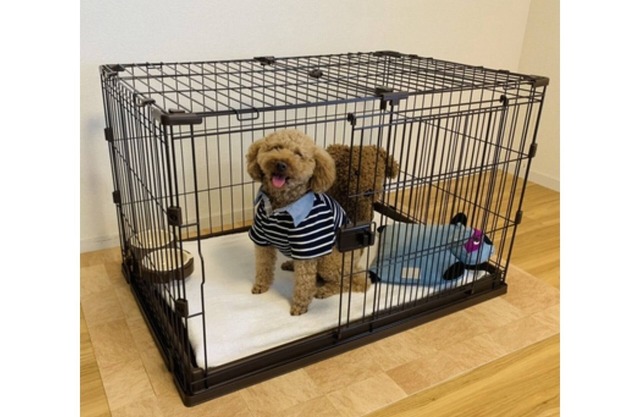 Staying with your dog is OK With kitchen and wash/Fukuoka Fukuoka
