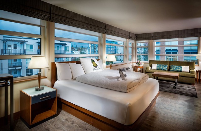 Staypineapple, Watertown Hotel, University District Seattle