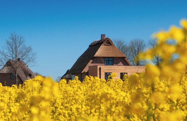 Steilküste, das Atelierhaus Unter Reet für bis zu 8 Personen&direktem Seeblick