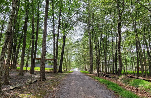 Steps 2 Lake, 3 Bedrm cabin w/bonus Loft, 2 full Baths, Pool Table, 2 Kayaks