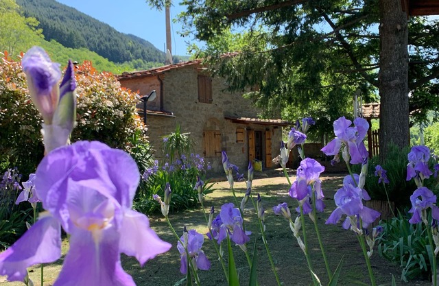 STONE HOUSE IN THE HEART OF TUSCANY WITH LARGE GARDEN AND SWIMMING POOL