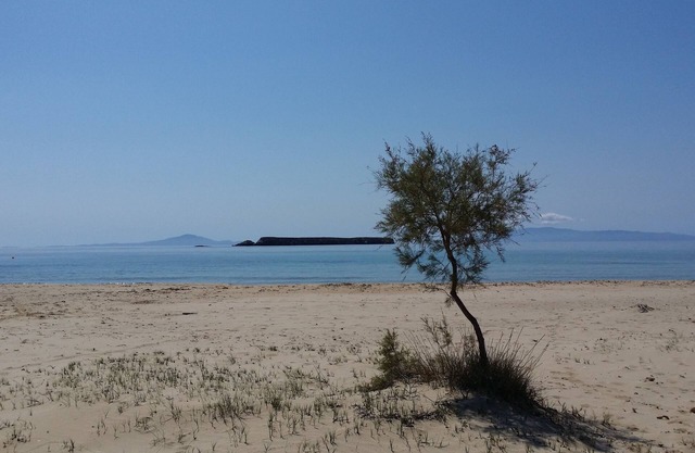 Stone sea view house with a beautiful garden close to an amazing sandy beach