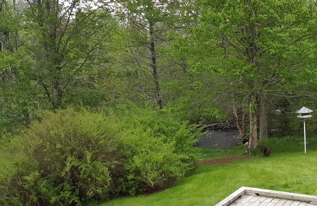 Stoneybrook House - historic property on 1.7 acres of land