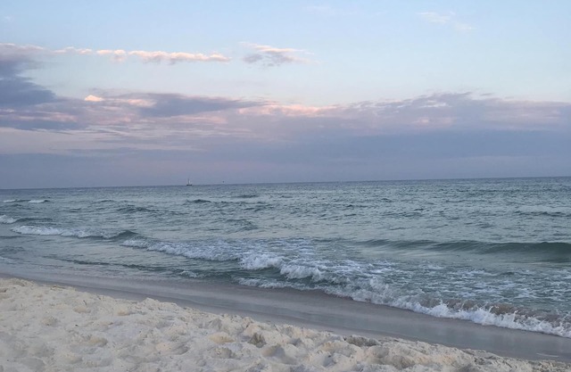 STOP SCROLLING! Seahorse is the PERFECT place to stay!