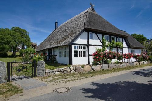 strandnahe Idylle am Meer, private Badestelle mit Strandkorb - Gutshof Ostseeblick FeWo Nr 04
