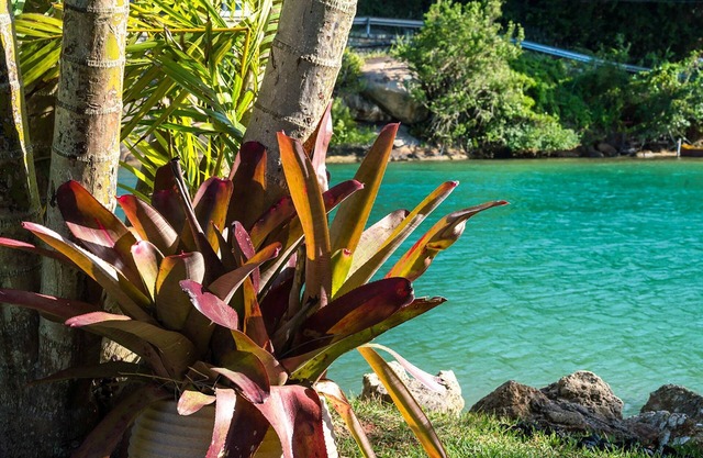 Studio 3 - Araçá - Quinta da Margem