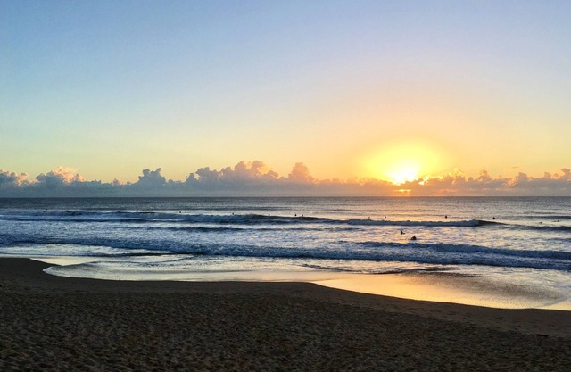 ~Studio Apartment,Kitchen,Private,Walk to Beach,