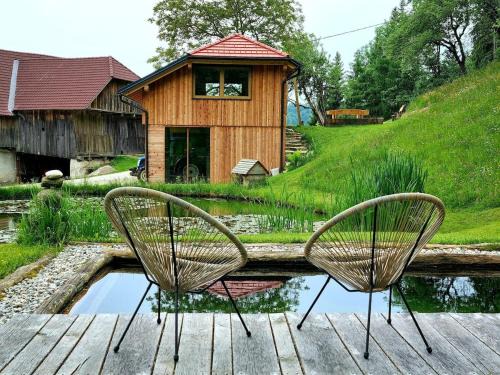 Studio Apartma2 pri Adamu