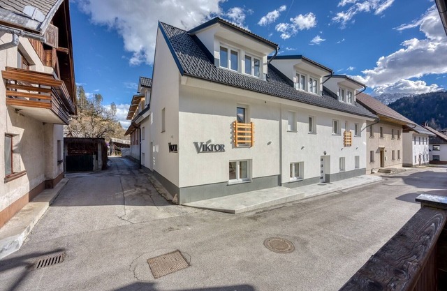 Studio Apartment Pri Viktoru No.14