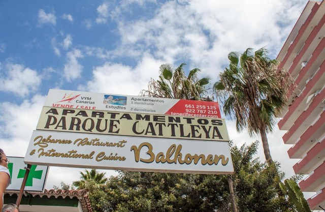 Studio Apartment In Parque Cattleya, Playa De Las Americas