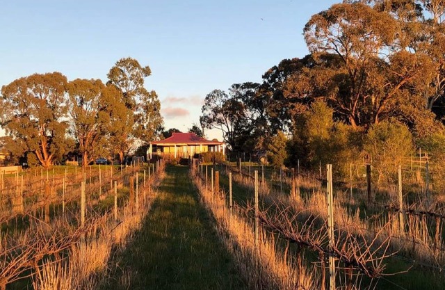 Studio apartment on a vineyard in the heart of the goldfields