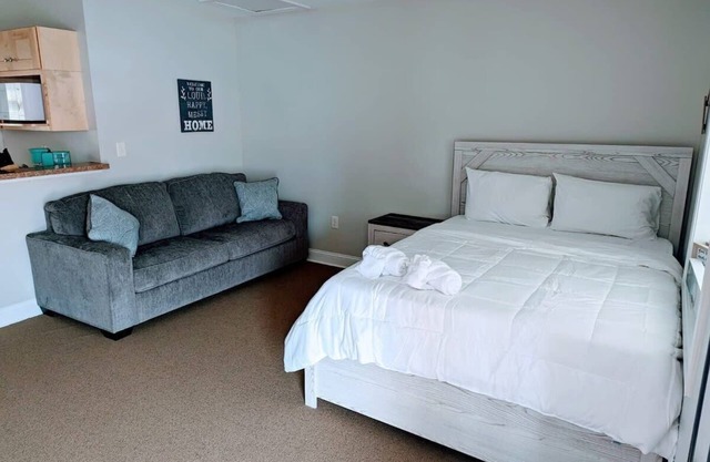 Studio Apt in Downtown MB