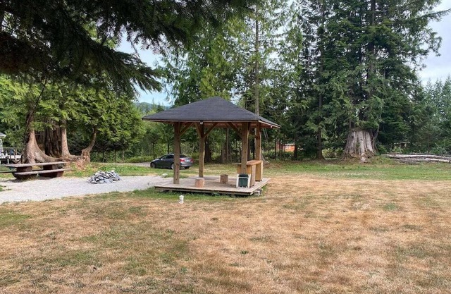 Studio/Cabin in Stave Lake -Mission
