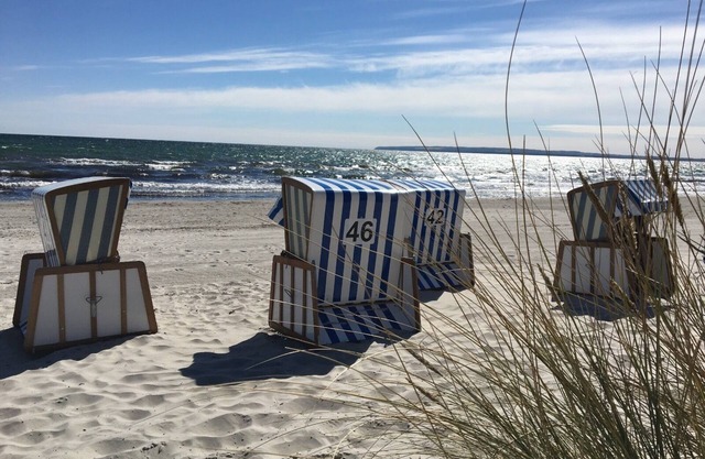 Studio "MS mussel" in the holiday park