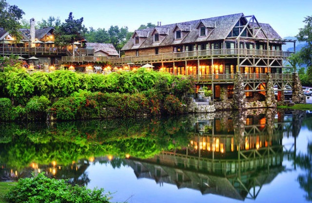 Studio Suite, Sleeps 4, at Big Cedar Wilderness Club in Branson, MO!