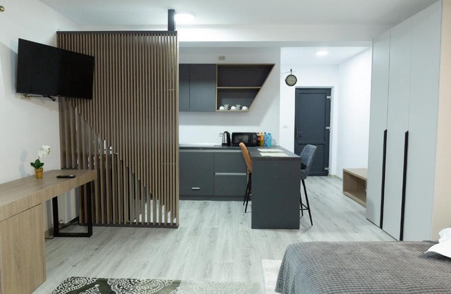 Studio with Parking in Frasin